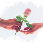 lulu, 36 years old, Robbah, Algeria الجزائر 