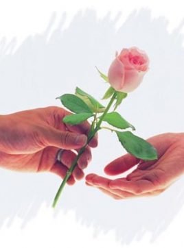 lulu, 36 years old, Robbah, Algeria الجزائر 