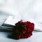 MiMi, 29 years old, El Achir, Algeria الجزائر 