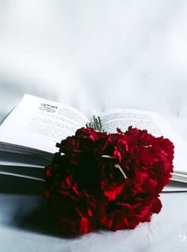 MiMi, 29 years old, El Achir, Algeria الجزائر 
