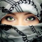 Kendy, 39 years old, Bouinan, Algeria الجزائر 